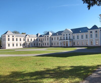 Вишнівецький палац