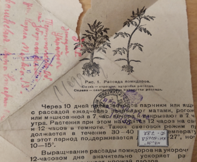 Рисунок 4